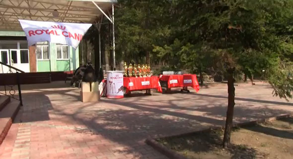 royal-canin-patrocina-peleas-de-perros