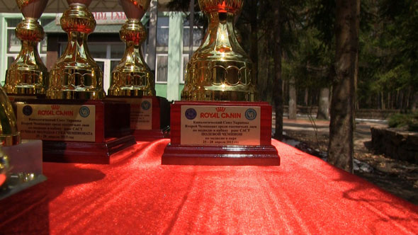 Royal_Canin_Pokale