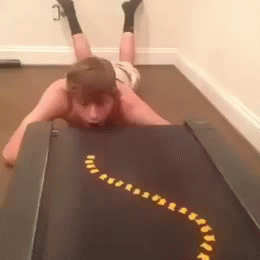 20130911biscoitos.gif