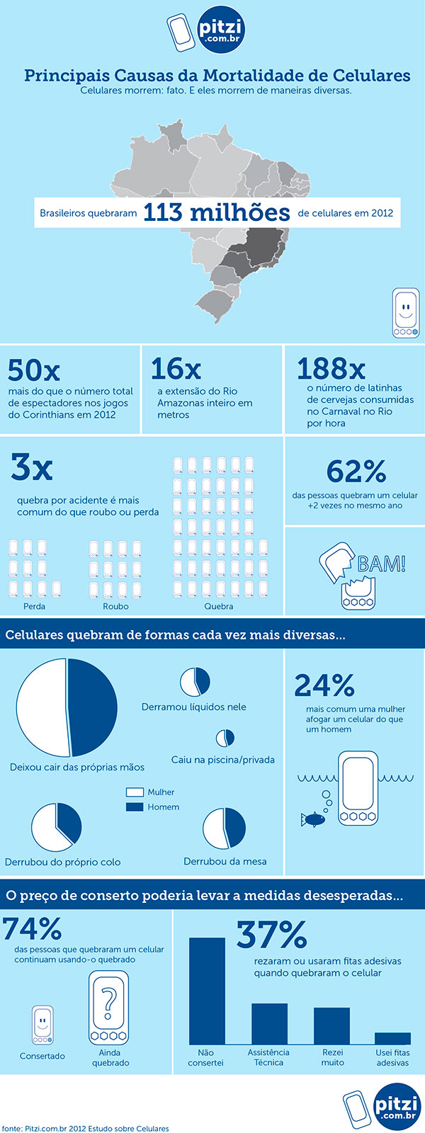 pitzi-infografico