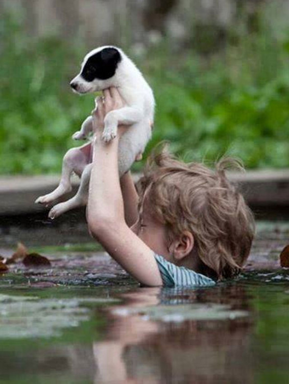 nino-salva-perro-inundaciones-serbia
