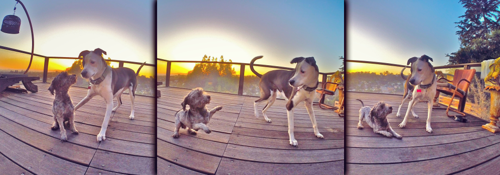 DCIM101GOPRO