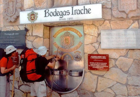 Vinicola_4